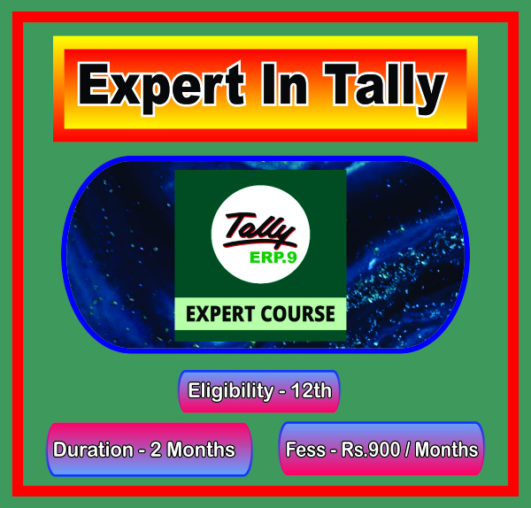 Expert In Tally